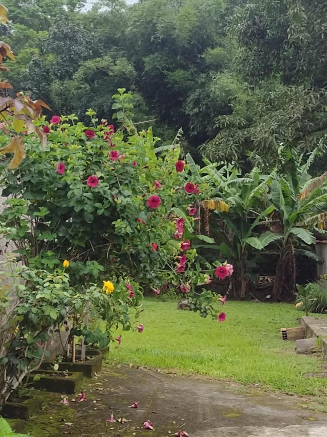 Rosane's Casa *