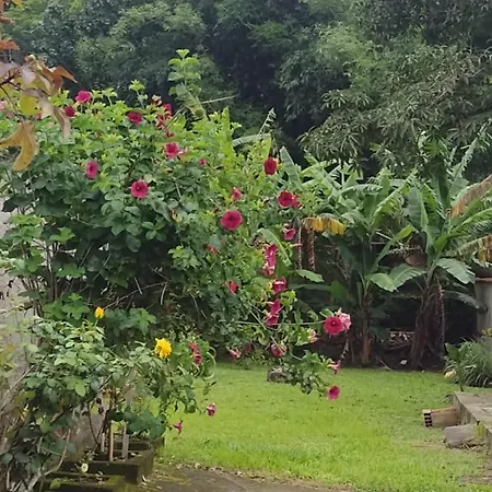 Rosane'S Casa Villa Guapimirim Exterior photo
